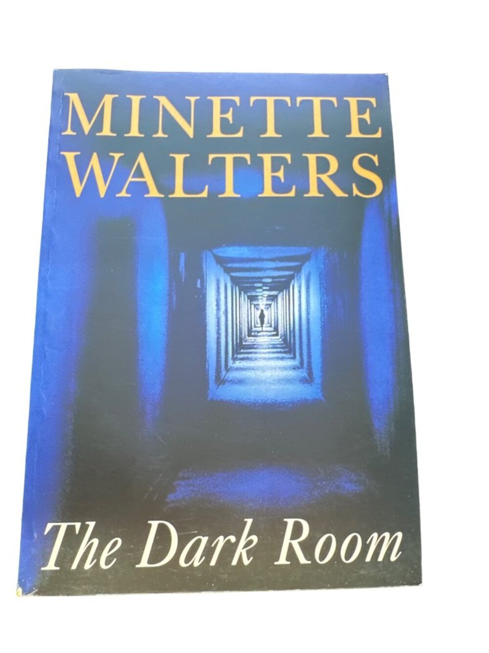 The Dark Room Minette Walters 1995 First Edition Uncorrected Proof SC Macmillan
